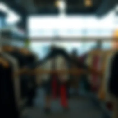 Magnificent The Utility and Innovation of Collapsible Hangers