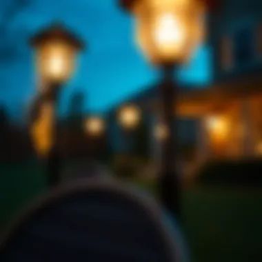 Magnificent Understanding Color Changing Solar Path Lights