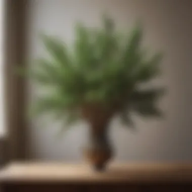 Elegant Arrangement of Artificial Cedar Branches Elegant arrangement of artificial cedar branches in a modern living space