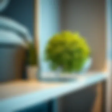 Stylish Shelf Accent Close-up of a beautifully crafted artificial round ball plant on a stylish shelf
