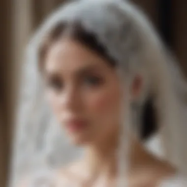 Lace Bridal Veil Elegance Intricately designed lace bridal veil