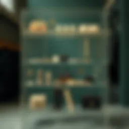 Elegant arrangement of fashion accessories on clear acrylic shelves