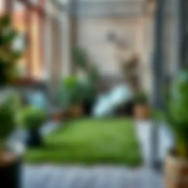Stylish balcony setup featuring grass rug and decorative plants