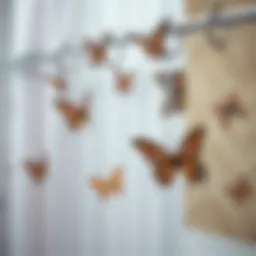 Exploring Butterfly Shower Curtain Hooks: A Detailed Overview Introduction