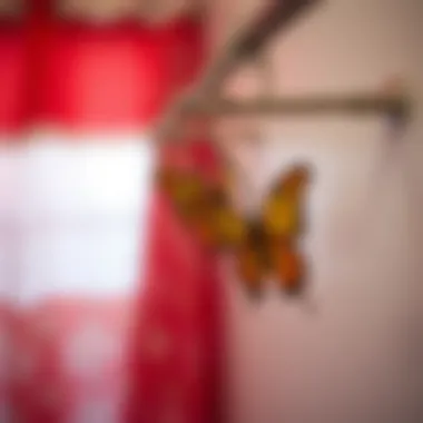 Notable Exploring Butterfly Shower Curtain Hooks: A Detailed Overview