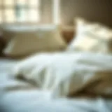 Exploring Comforter Sheets and Pillowcase Sets: A Comprehensive Guide Introduction