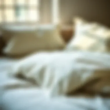 Exploring Comforter Sheets and Pillowcase Sets: A Comprehensive Guide Introduction