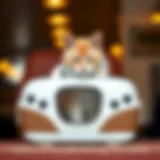 Stylish cat carrier showcasing contemporary design elements
