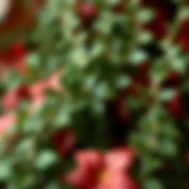 Realistic Texture of Faux Ivy A close-up of faux ivy strands showcasing their realistic texture and color