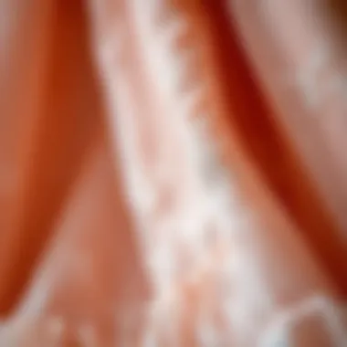 Intricate Textures of Crinoline Fabric Close-up of crinoline fabric showcasing intricate textures