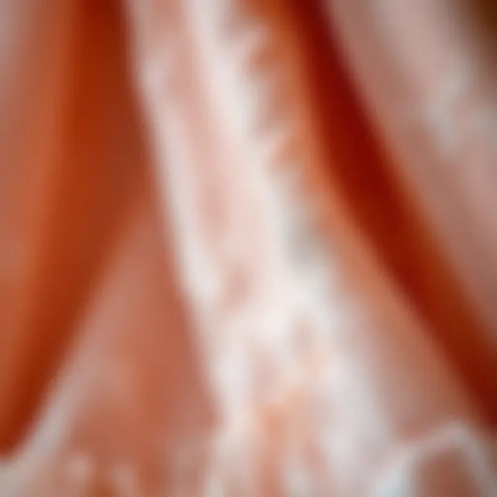 Intricate Textures of Crinoline Fabric Close-up of crinoline fabric showcasing intricate textures