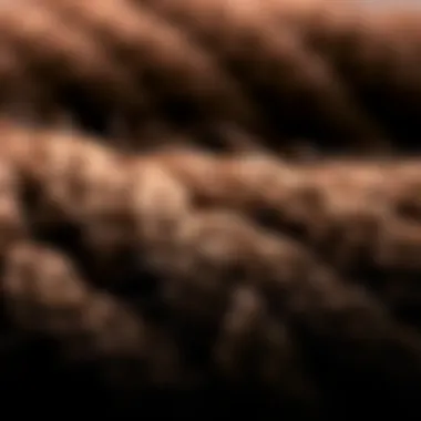 Freetress Spring Twist Texture Detail Close-up view of Freetress Spring Twist texture showcasing its unique spiral pattern