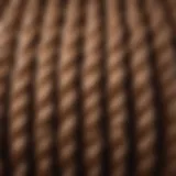 Close-up view of full lace micro braid wig showcasing the intricate braiding technique.