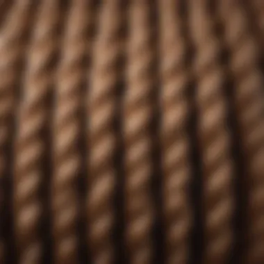 Intricate Braiding Technique of Full Lace Micro Braid Wig Close-up view of full lace micro braid wig showcasing the intricate braiding technique.