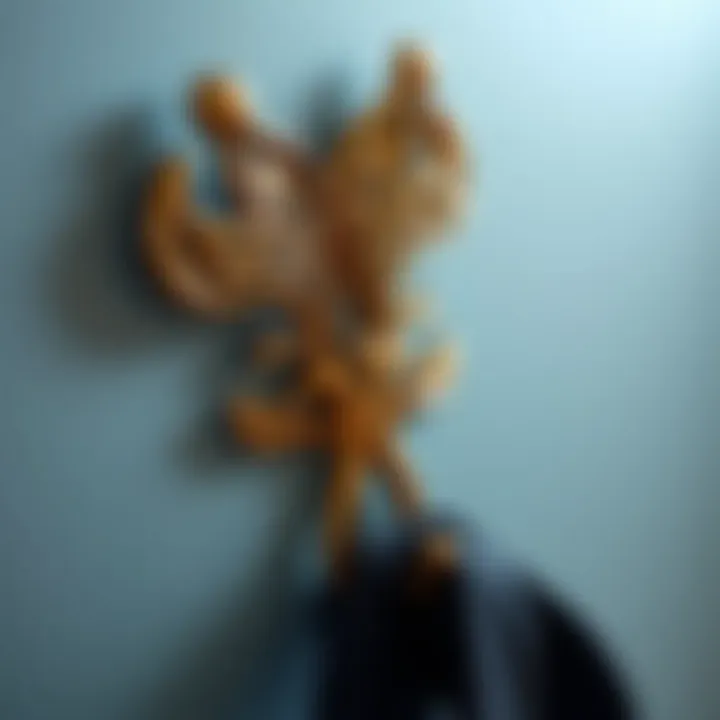 Artistic Design of a Stick-On Coat Hook Close-up of a decorative stick-on coat hook