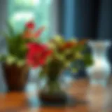 Hydroponic vase showcasing vibrant plant growth