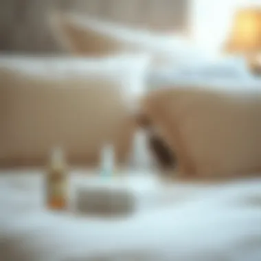 Maintenance tips visually represented through well-organized bedding care items
