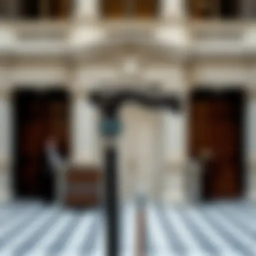 The Cane as a Symbol of Elegance Elegant cane displayed against a classic backdrop