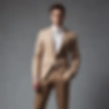 Fashionable Formal Outfit with Two-Tone Pants Fashionable outfit featuring two-tone pants suitable for formal occasions
