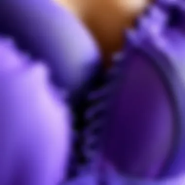 Textures of Purple Bra Fabrics Close-up of fabric textures used in purple bras