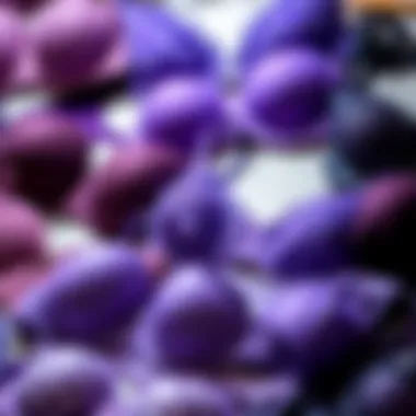 Diverse Styles of Purple Bras Collection of purple bras in various styles and sizes