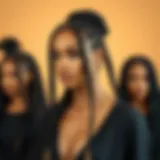 Showcasing the Variety of Braided Wig Styles Diverse styles of real hair braided wigs showcased elegantly