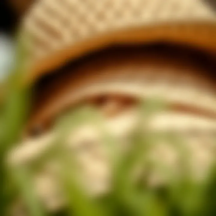 Materials in Sunshade Hats Close-up of materials used in sunshade hats with UV protection