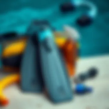 Flippers and Maintenance Essentials A pair of flippers next to maintenance tools