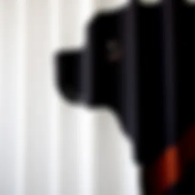 Detailed View of Black Lab Motif Close-up of black lab motif on a shower curtain showcasing texture