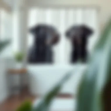 Elegantly Designed Black Lab Shower Curtain Stylish black lab shower curtain in a modern bathroom setting