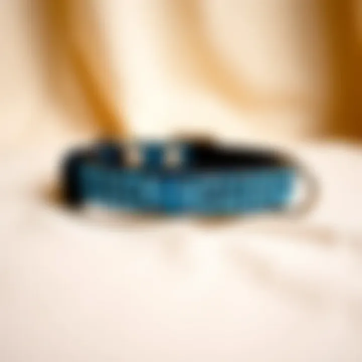 Stylish blue rhinestone collar displayed on a soft fabric background