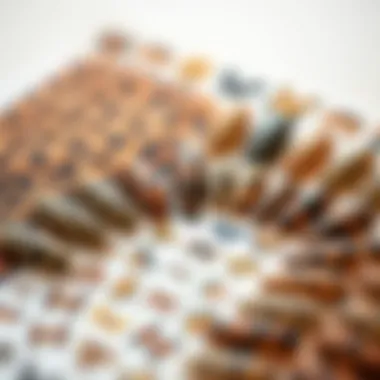 Artistic Arrangement of Leopard Nail Stickers An elegant display of various leopard nail stickers arranged artistically