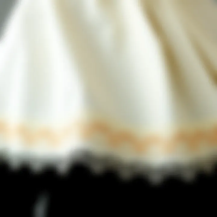 Intricate Embroidery on Capelet A close-up view of intricate embroidery details on a light-colored capelet