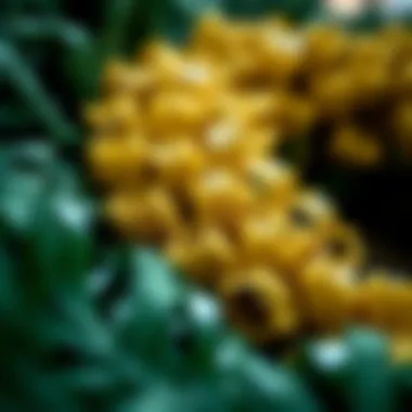 Innovative Materials in Waterproof Wreaths A close-up view of the materials used in waterproof wreaths, showcasing durability and design innovation.