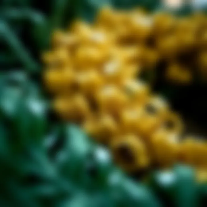 Innovative Materials in Waterproof Wreaths A close-up view of the materials used in waterproof wreaths, showcasing durability and design innovation.