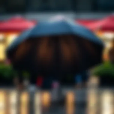 Durability and Weather Resistance in Umbrellas Umbrella showcasing durability and weather resistance