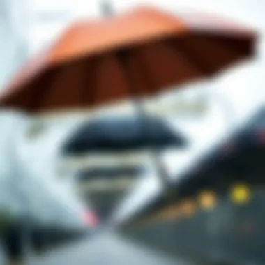 Innovative Materials in Modern Umbrella Design Innovative materials used in modern umbrellas