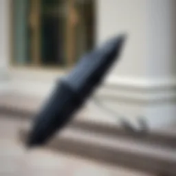 Stylish compact umbrella with sleek design