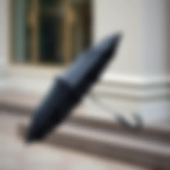 Stylish compact umbrella with sleek design