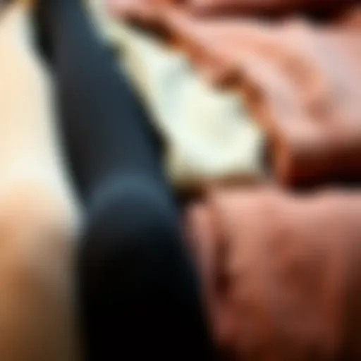 Elegant display of assorted plus size tights showcasing different fabric textures.