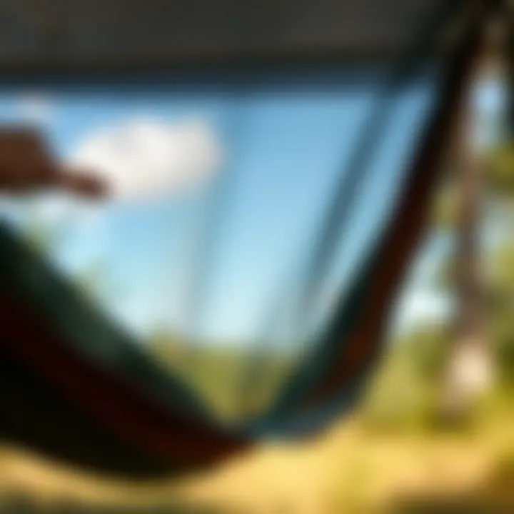 Innovative Design Features of Enclosed Hammocks Close-up of the innovative design features of an enclosed hammock