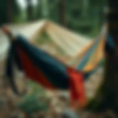 Materials Used in Enclosed Hammocks A detailed display of various materials used in enclosed hammock construction