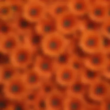 Close-up of various types of orange faux flowers showcasing texture and detail
