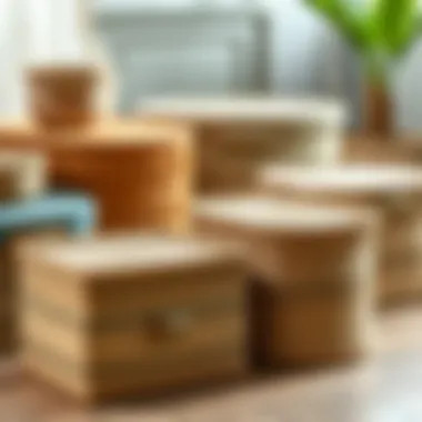 Diverse Seagrass Storage Box Collection Variety of seagrass storage boxes showcasing different sizes and colors