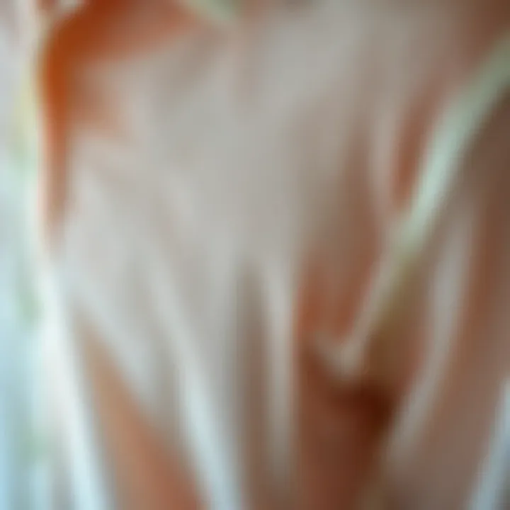 Texture Detail of Sheer Fabric Close-up of fabric texture highlighting the transparency of a sheer shirt.