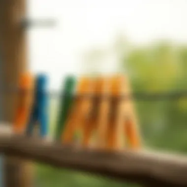 Infographic depicting the sustainable aspects of wooden clothespins