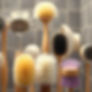 Various types of soft shower brushes displayed