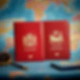 Elegant Mr and Mrs passport covers displayed on a travel-themed background
