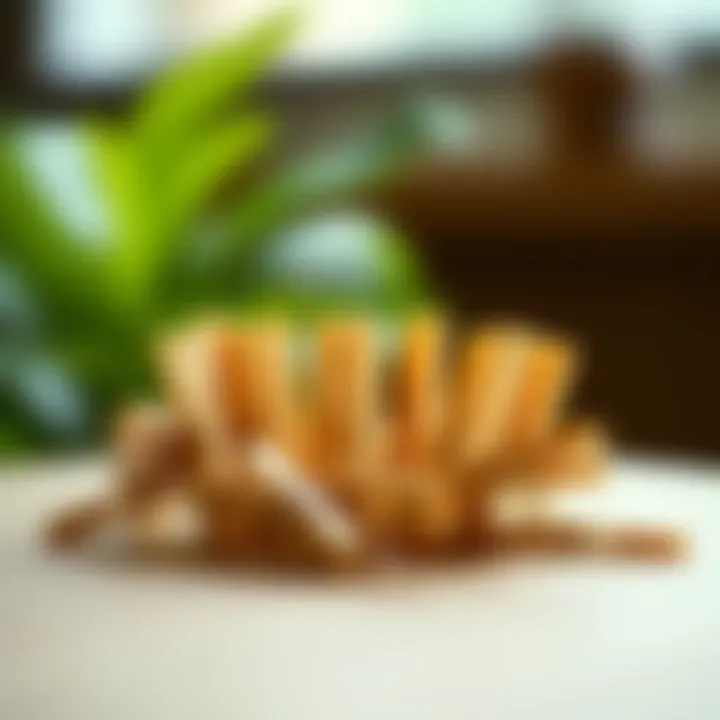 Artistic Expression Using Clothespins Artistic arrangement of tiny wooden clothespins in a creative installation