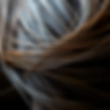 Understanding Split Ends in Hair Close-up of hair strands demonstrating split ends